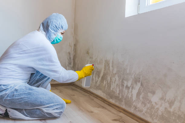 Commercial Mold Remediation assessment for commercial property in Salisbury