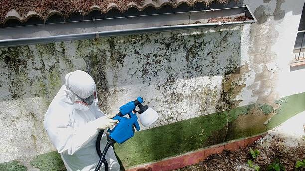 Mold Remediation service in Salisbury, Salisbury, NC